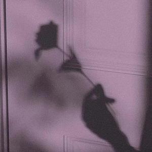 能看到女生光着身子的软件
